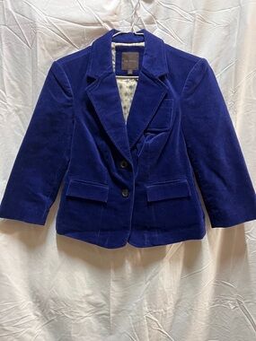 The Limited Royal Blue Velvet Blazer
